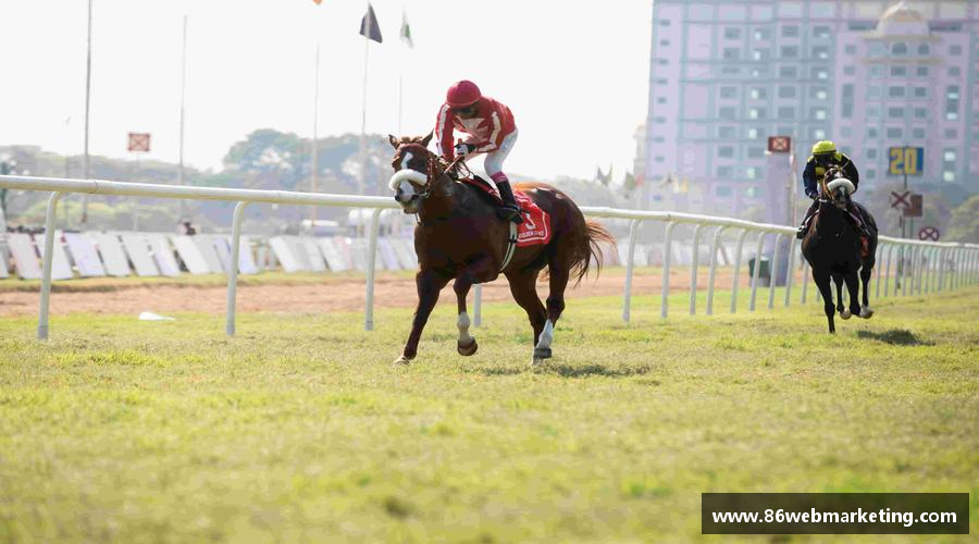 激情体验，体育生活